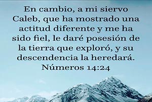 Numbers 14:24