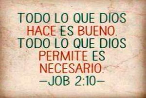 Job 2-10