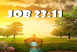 Job 23:11 New International Version (NIV)