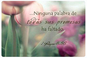 1 Kings 8:56