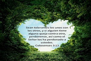 Col. 3:13